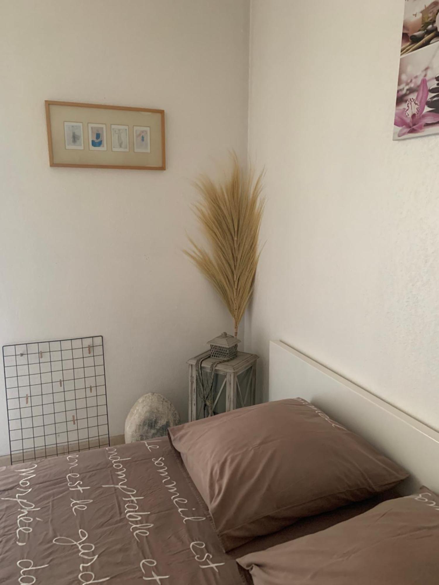 Votre Sejour Cosy A Frejus! Lägenhet Exteriör bild